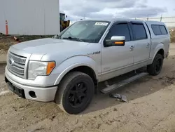 Ford salvage cars for sale: 2011 Ford F150 Supercrew