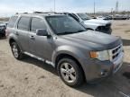 2010 Ford Escape Limited