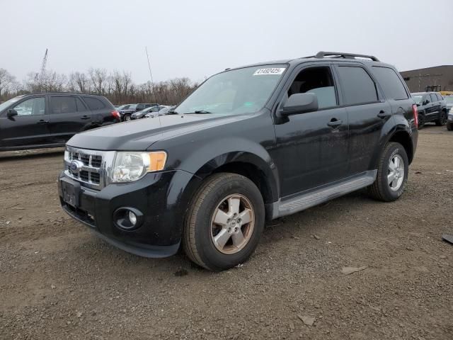 2012 Ford Escape XLT