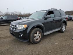 Ford Escape Vehiculos salvage en venta: 2012 Ford Escape XLT