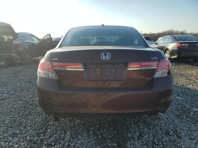 2011 Honda Accord EXL