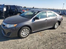 Salvage cars for sale at Antelope, CA auction: 2014 Toyota Camry L