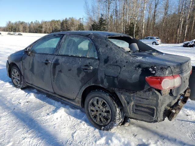 2012 Toyota Corolla Base