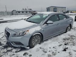 Salvage cars for sale from Copart Airway Heights, WA: 2016 Hyundai Sonata Hybrid