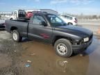 1998 Dodge Dakota