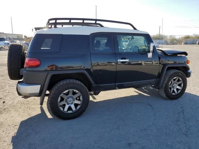 2010 Toyota FJ Cruiser