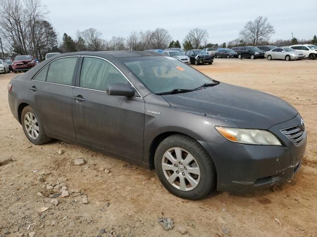 2007 Toyota Camry Hybrid