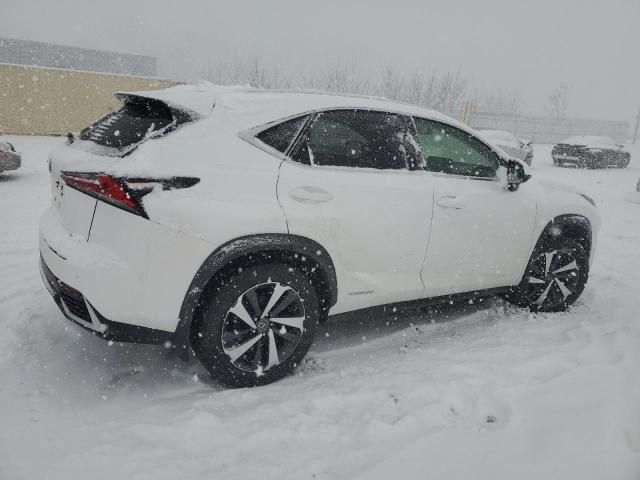 2019 Lexus NX 300H