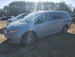 Honda salvage cars for sale: 2012 Honda Odyssey EXL