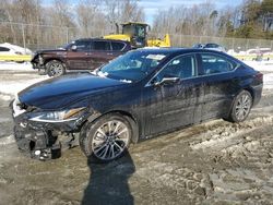 Lexus es 350 salvage cars for sale: 2019 Lexus ES 350