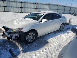 Salvage cars for sale at Cahokia Heights, IL auction: 2013 Lexus ES 350