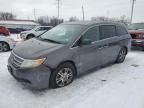 2011 Honda Odyssey EXL