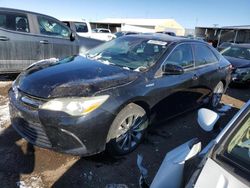 Salvage cars for sale at Brighton, CO auction: 2015 Toyota Camry Hybrid