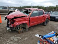 Salvage cars for sale at Greenwell Springs, LA auction: 2023 Toyota Tacoma Double Cab