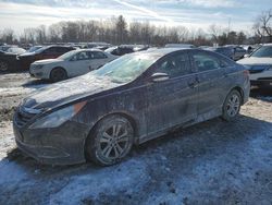 Salvage cars for sale at Chalfont, PA auction: 2014 Hyundai Sonata GLS