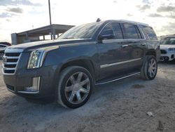 Salvage cars for sale from Copart Cleveland: 2019 Cadillac Escalade Luxury