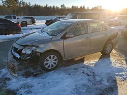 Toyota salvage cars for sale: 2010 Toyota Corolla Base