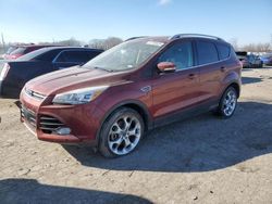 Salvage cars for sale at Bridgeton, MO auction: 2014 Ford Escape Titanium