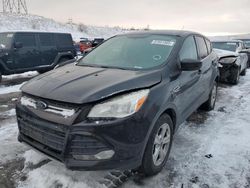 Ford salvage cars for sale: 2013 Ford Escape SE