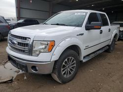 Salvage Cars with No Bids Yet For Sale at auction: 2014 Ford F150 Supercrew