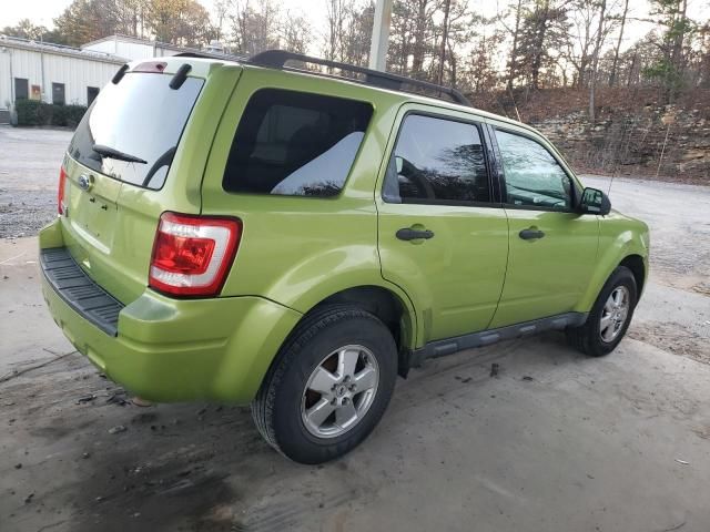 2011 Ford Escape XLT