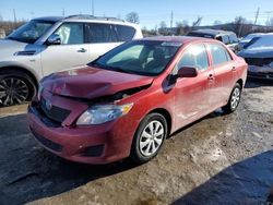 Toyota salvage cars for sale: 2010 Toyota Corolla Base