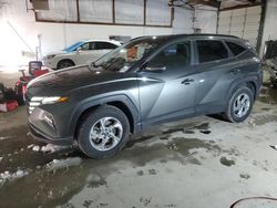 2023 Hyundai Tucson SEL en venta en Lexington, KY