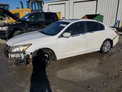 Honda Vehiculos salvage en venta: 2011 Honda Accord EXL