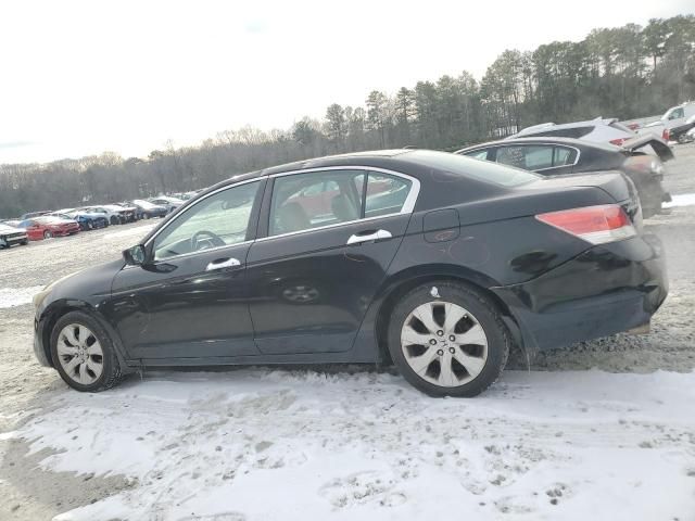 2010 Honda Accord EXL