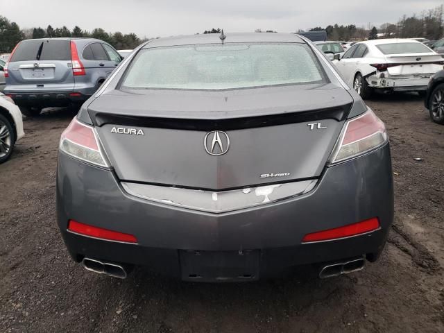 2010 Acura TL