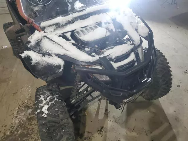 2019 Arctic Cat Cat