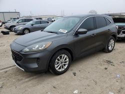 Salvage cars for sale at auction: 2020 Ford Escape SE