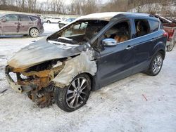 Salvage cars for sale at Ellwood City, PA auction: 2015 Ford Escape SE