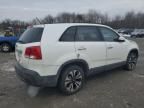 2011 KIA Sorento Base