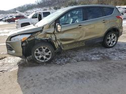 Salvage SUVs for sale at auction: 2013 Ford Escape SEL