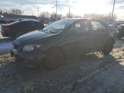 Salvage cars for sale from Copart Cleveland: 2010 Toyota Corolla Base