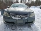 2007 Lexus LS 460