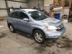 2010 Honda CR-V EXL