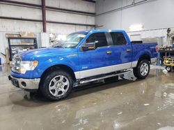 Salvage SUVs for sale at auction: 2014 Ford F150 Supercrew