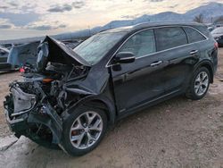 Salvage cars for sale at Magna, UT auction: 2017 KIA Sorento SX