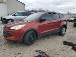 Salvage cars for sale at Lawrenceburg, KY auction: 2014 Ford Escape S