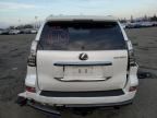 2023 Lexus GX 460 Luxury