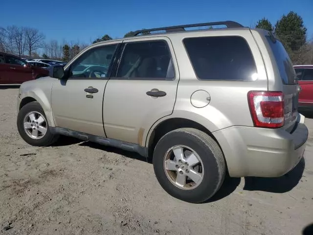 2011 Ford Escape XLT