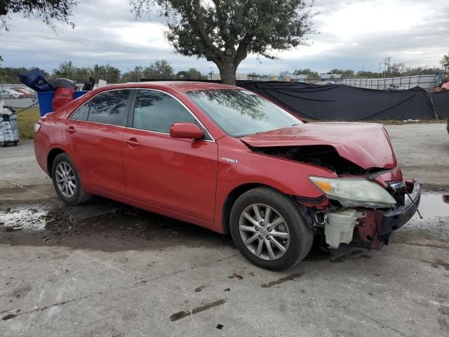 2010 Toyota Camry Hybrid