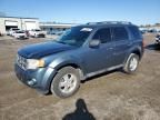 2012 Ford Escape XLS