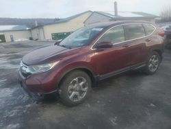 Salvage cars for sale at Grantville, PA auction: 2019 Honda CR-V EX