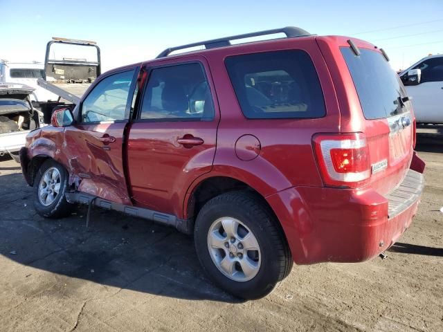 2008 Ford Escape Limited