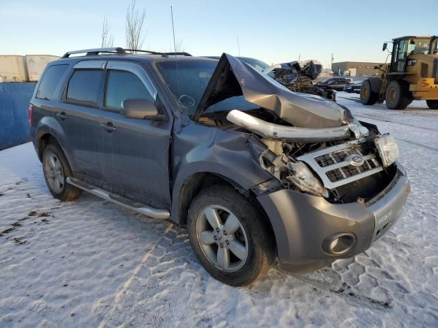 2011 Ford Escape Limited