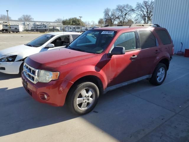 2010 Ford Escape XLT