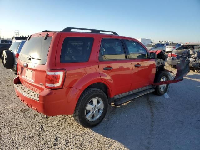 2009 Ford Escape XLT